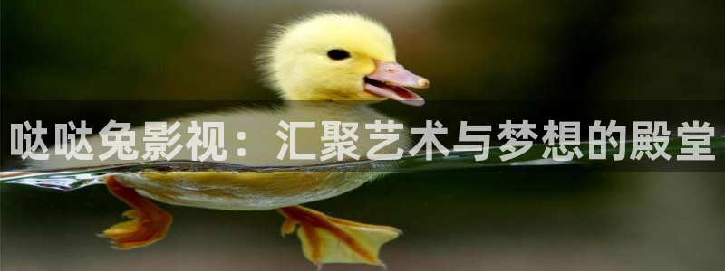 星空影视电影免费观看