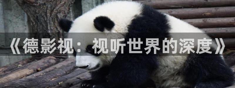 星空影院免费观看电视剧在线观看